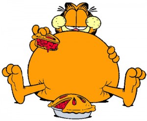 Garfield Gordo, Extraído de http://www.ulissestriatleta.com/2013/05/a-ditadura-do-gostoso.html